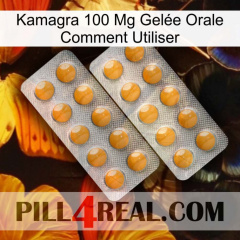 Kamagra 100 Mg Gelée Orale Comment Utiliser levitra2